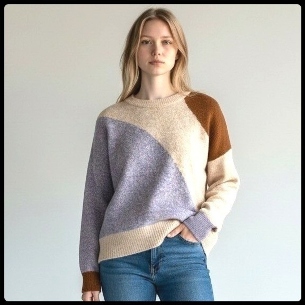 Madewell Cedarbrook Colorblock Crop Sweater Women XL Tan Purple Wool Camel Boxy